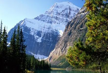 要教会网站数据持续恢复中，请见谅！