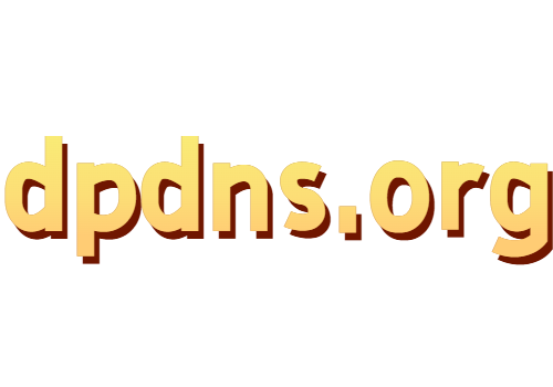 教你3分钟注册免费域名dpdns.org
