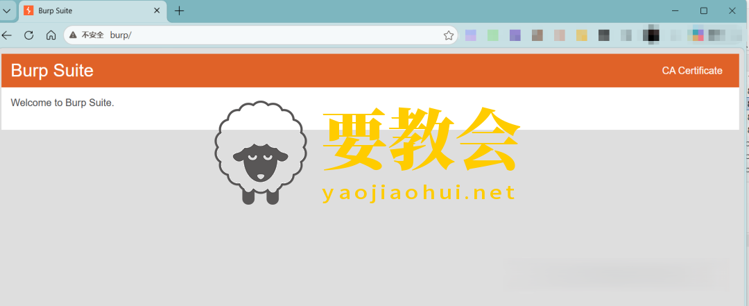 为什么开burpsuite网页就空白? 为什么开burpsuite网页就空白?